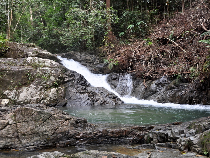 DSC_0806.JPG