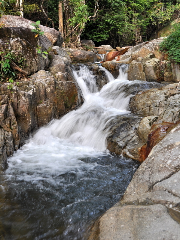DSC_0082.JPG