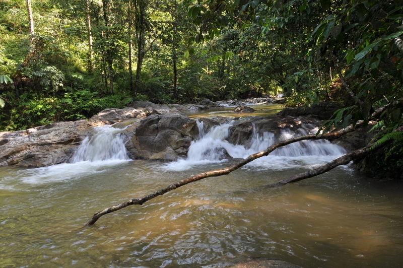 DSC_0109.JPG