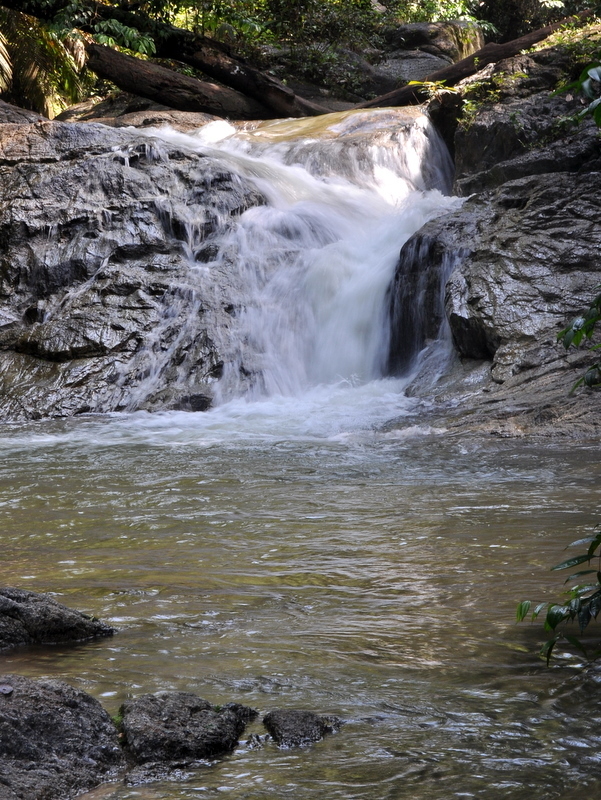 DSC_0111.JPG
