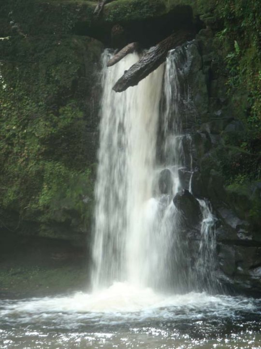 eastern_julan_upper.jpg