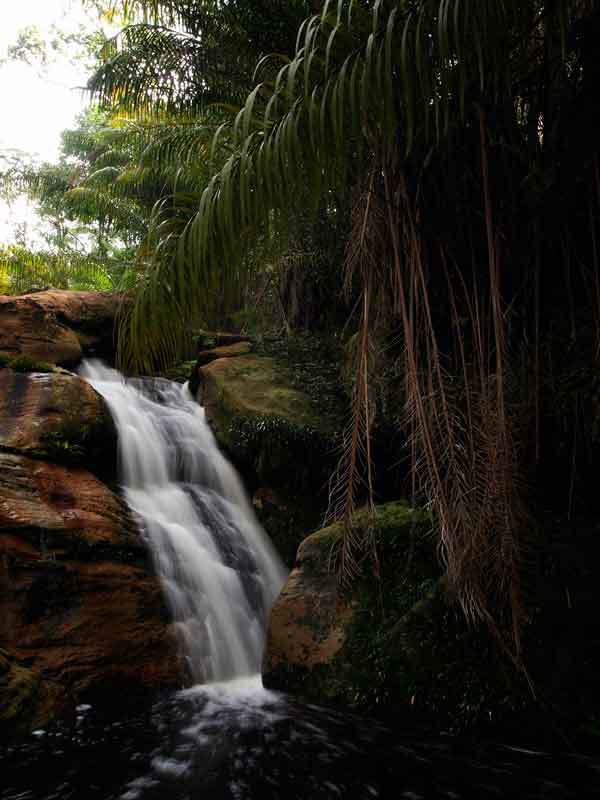 _A242392.jpg