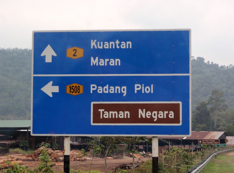 P9050001.JPG