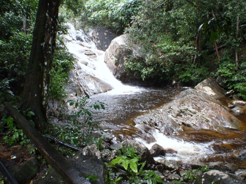 P8290020.JPG