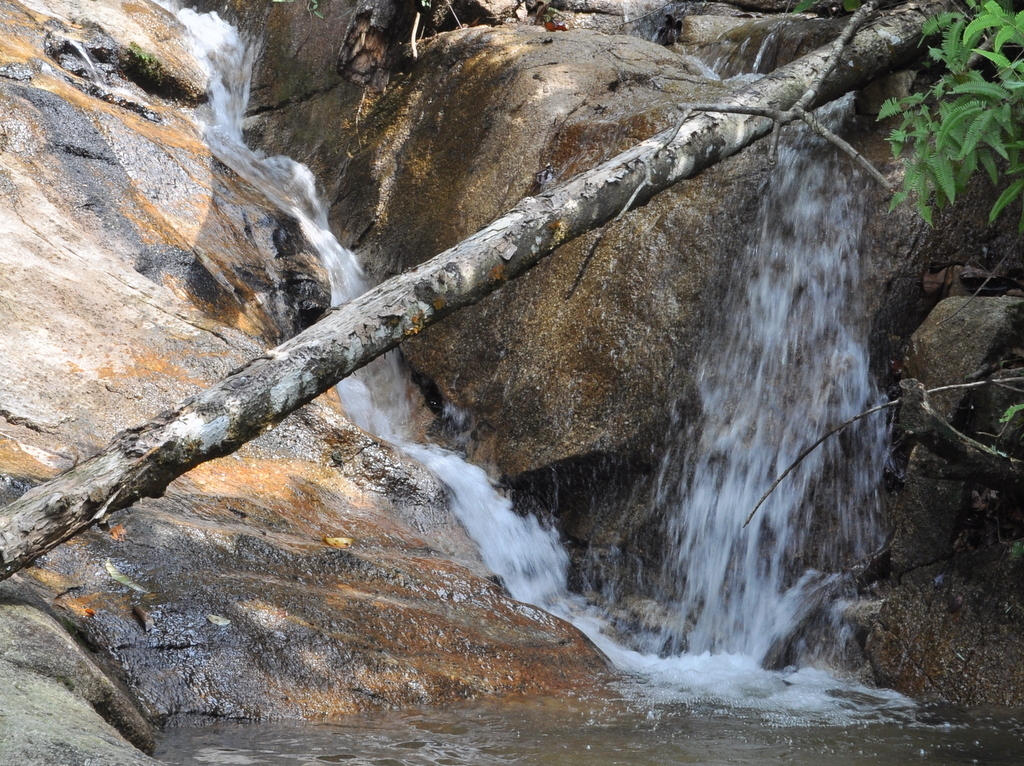 DSC_6743.JPG