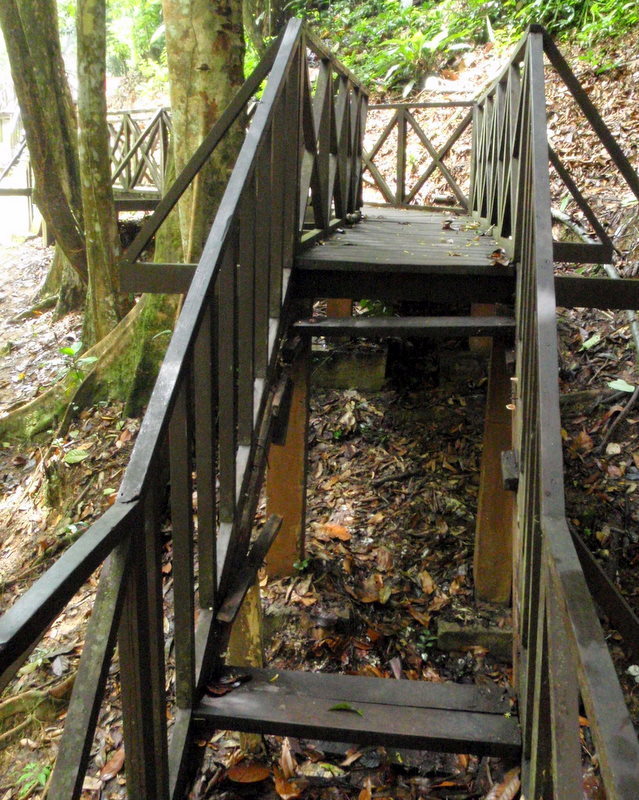 P9020037.JPG
