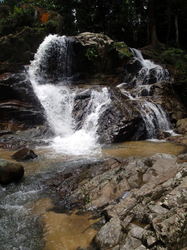 P9020042.JPG