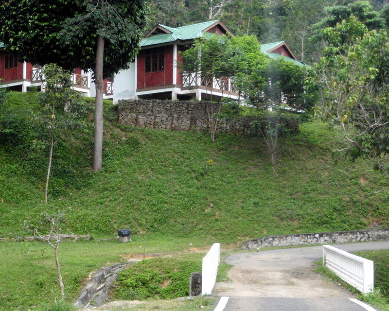 P9020051.JPG