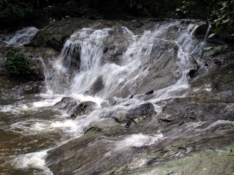 IMG_1187.JPG