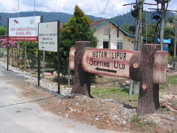 serting01.jpg