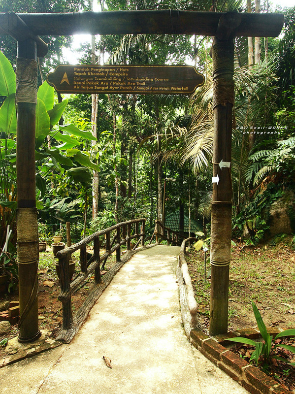 P8064736.jpg