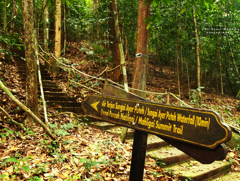 P8064740.jpg