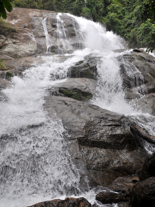 DSC_4051.JPG