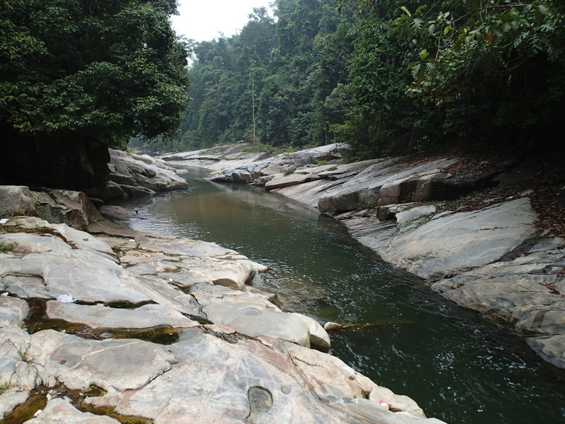 PA040883.JPG