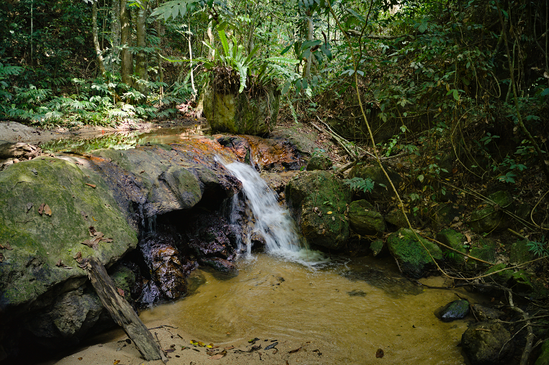upperjeramrusafinalweb.png