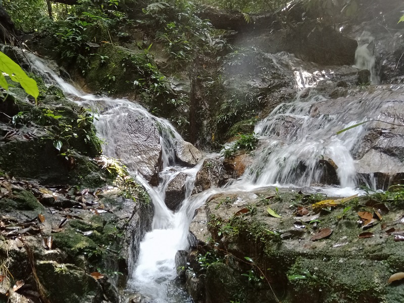 20220410_1026495764996644287589171_large.jpg