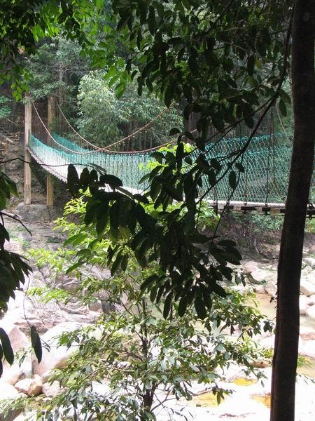 pandan02.jpg