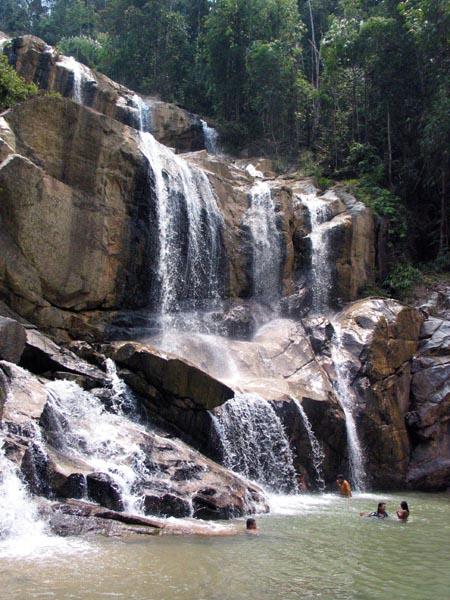 pandan05.JPG