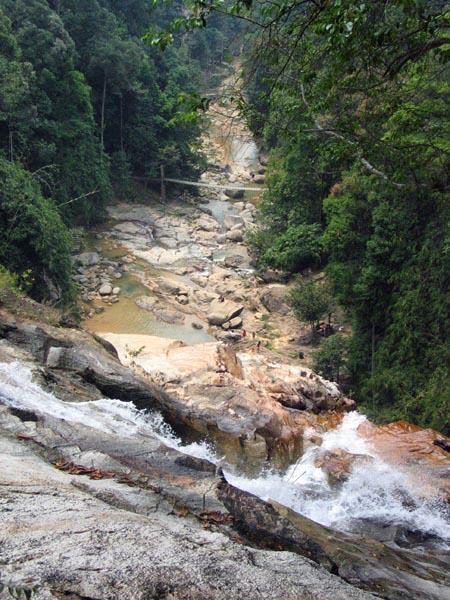 pandan07.JPG