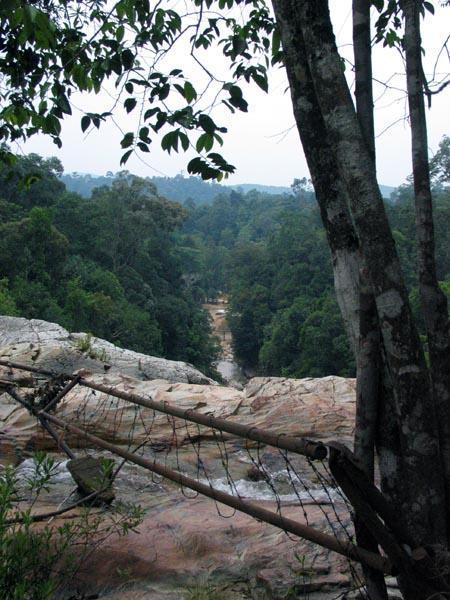 pandan08.JPG