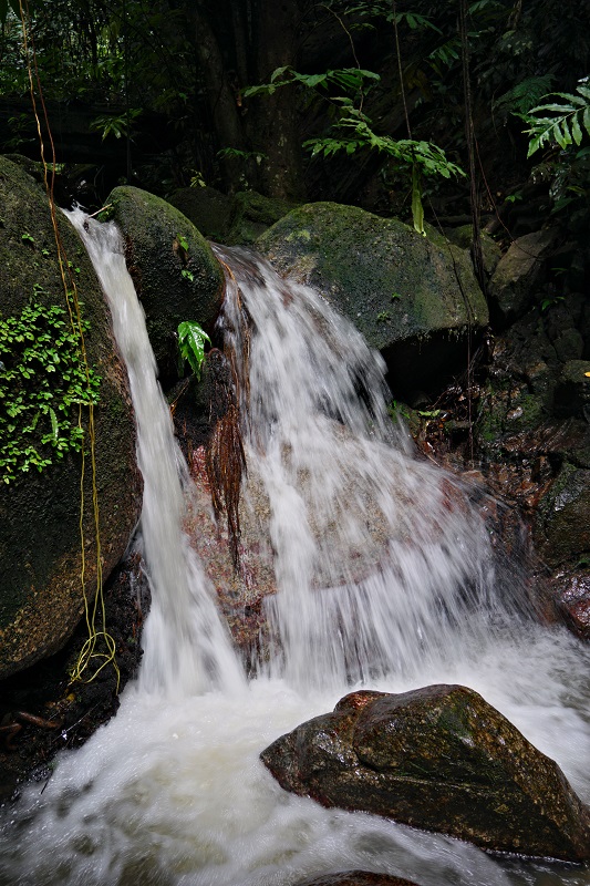 lowerlatamasairightfalls2web.jpg