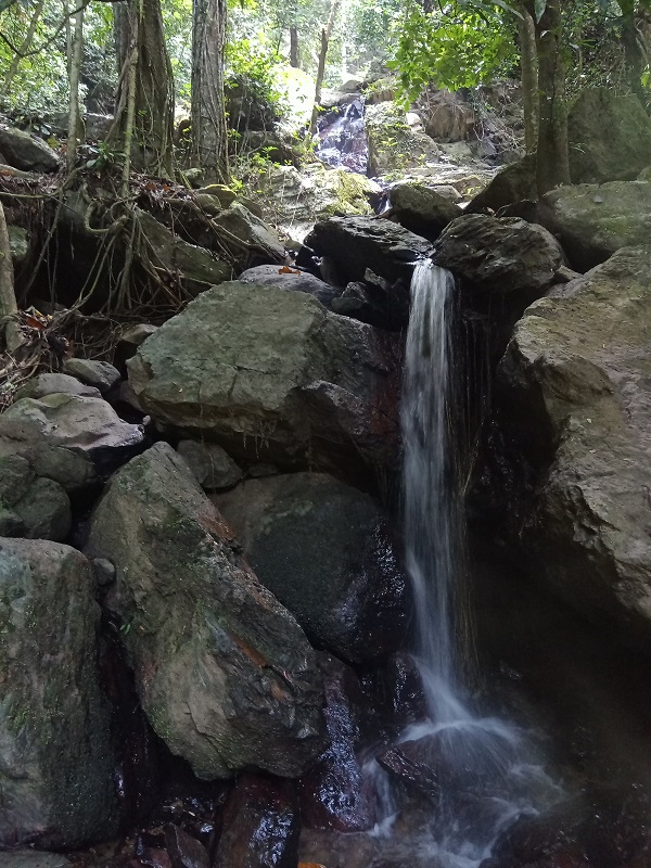 20220326_1039213394802837239072938_large.jpg