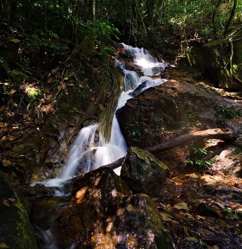 dsc07610-dsc07611web.jpg