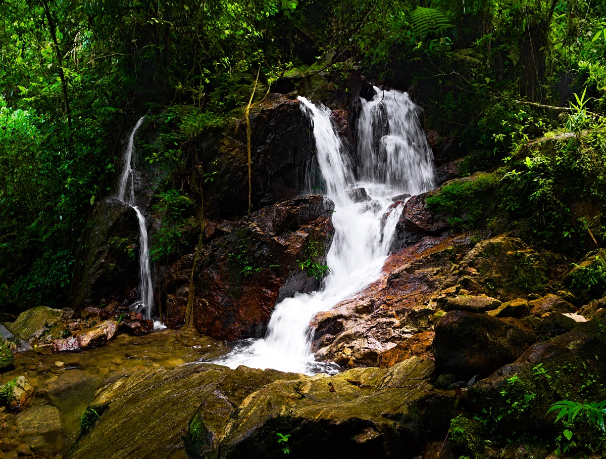 latabatukapal2(l)web.jpg