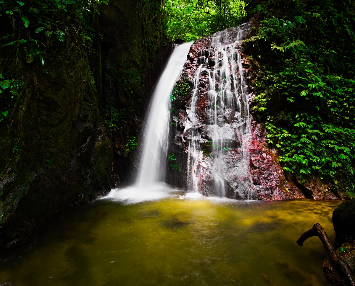 latabatukapal2(r)web.jpg