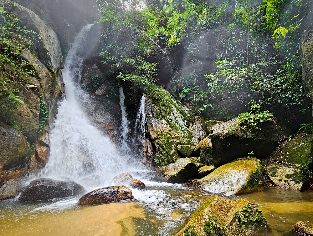 atbuayalepasfall1web.jpg