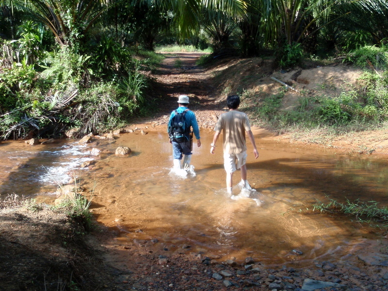 P6120111.JPG