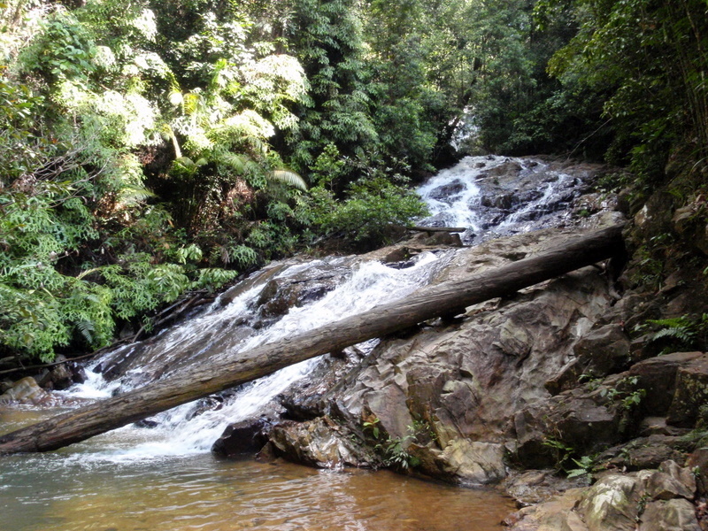 P6120163.JPG