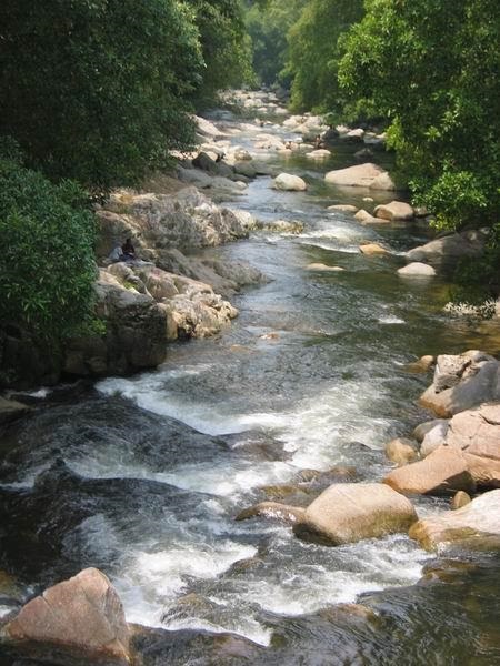 chamang02.JPG