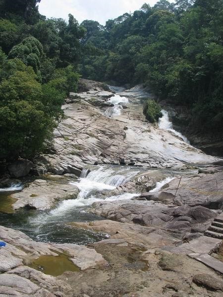 chamang04.JPG