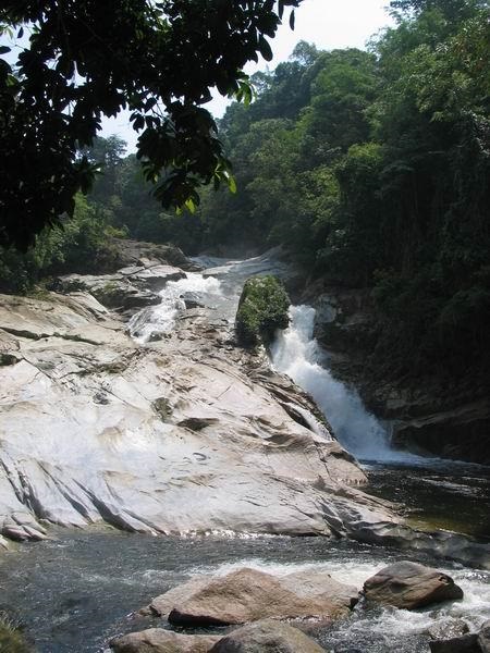 chamang08.JPG