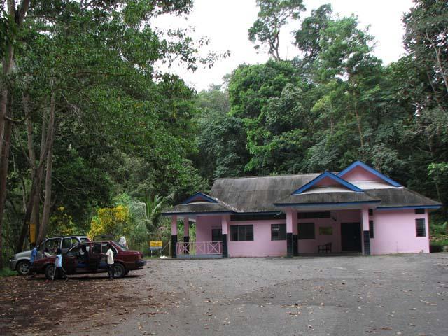 jarum02.jpg