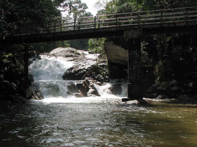 jarum06.jpg