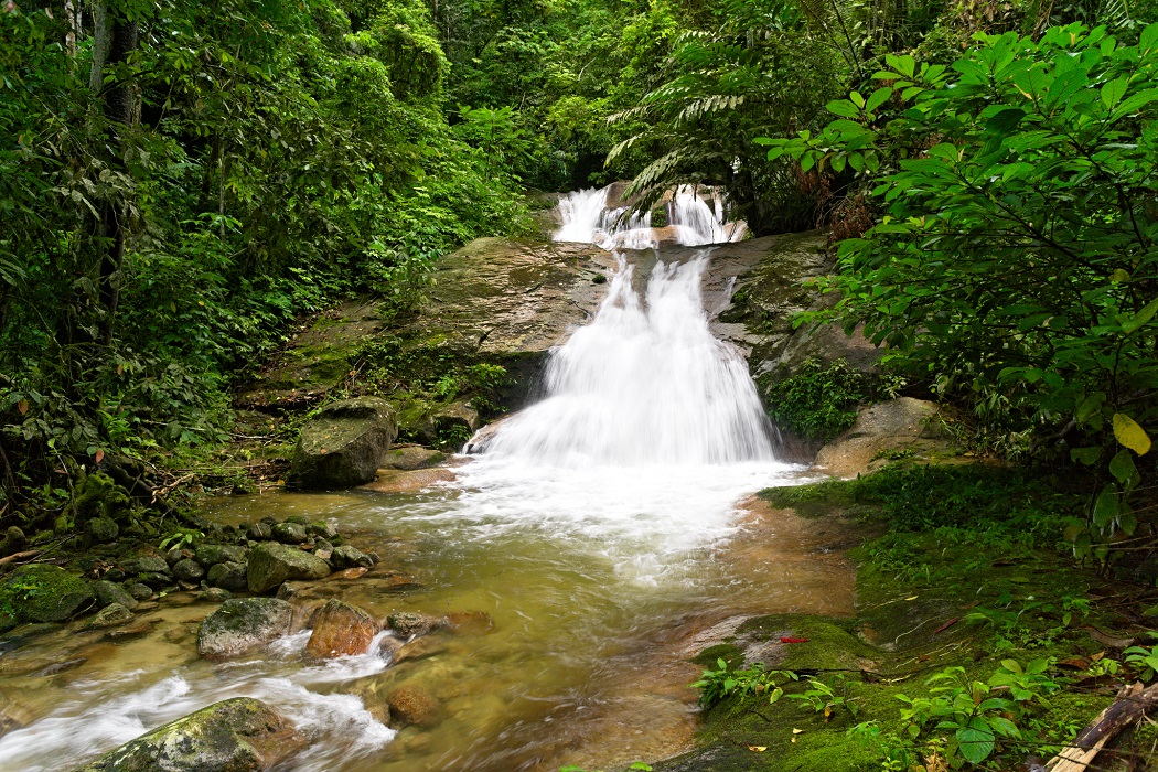 cempifalls2web.jpg