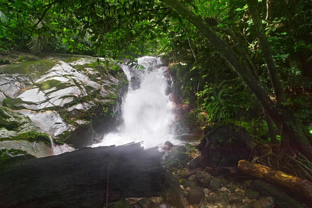cempifalls3web.jpg