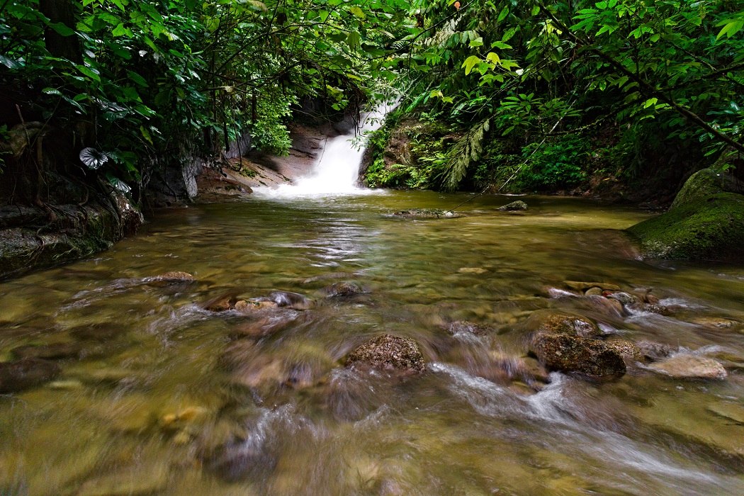 cempifalls4web.jpg