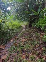 left click for larger picture