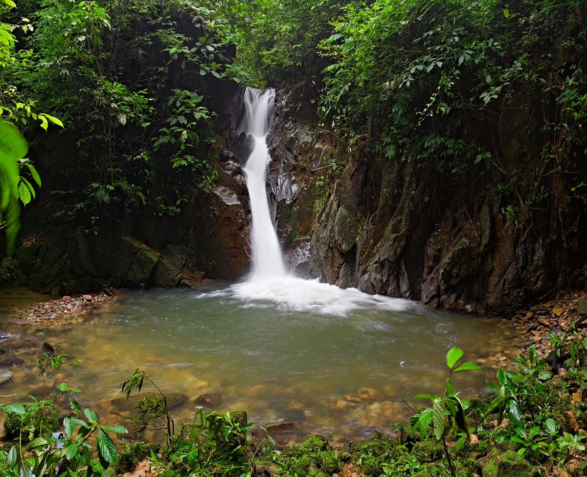rengaifallwideweb.jpg