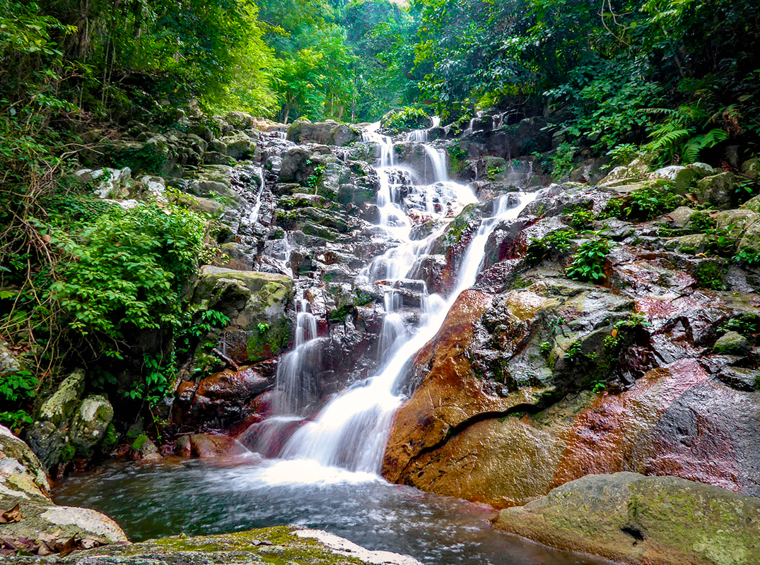 asah-waterfall-forestweb.jpg