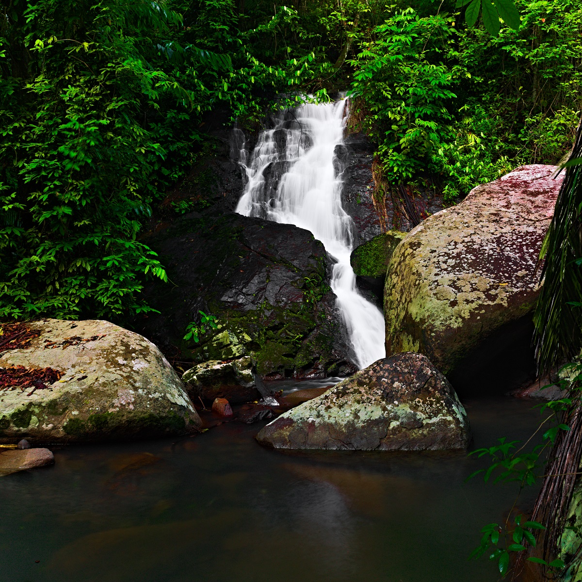 sabutfalls1portraitweb.jpg