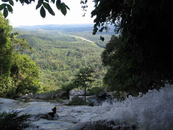 kinjang11.JPG