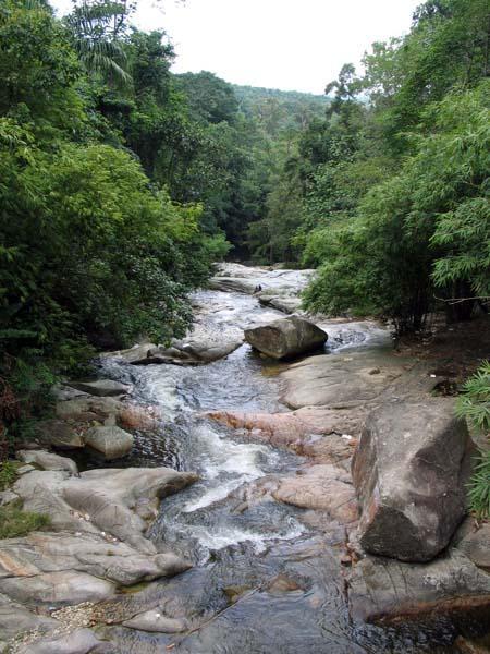 kinjnag07.JPG