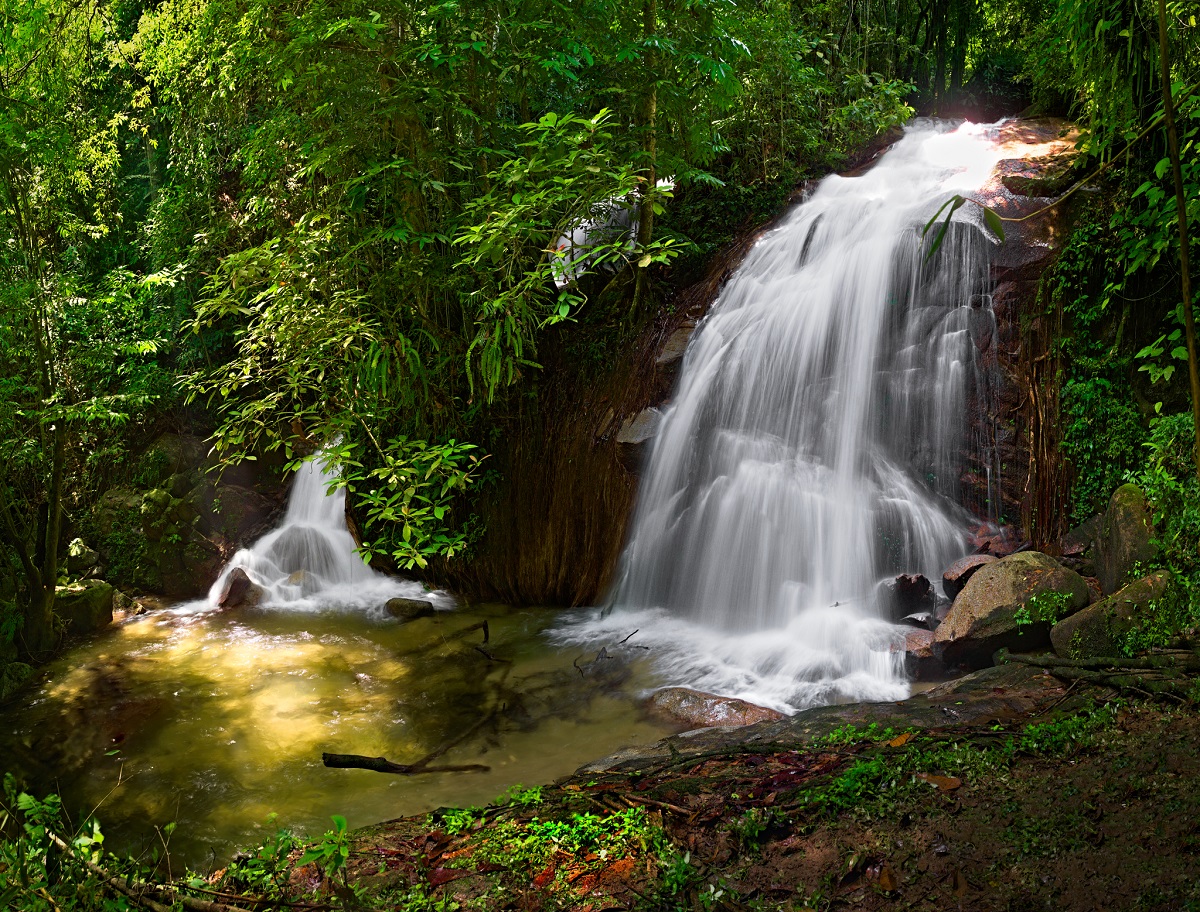 latatujohfallweb.jpg