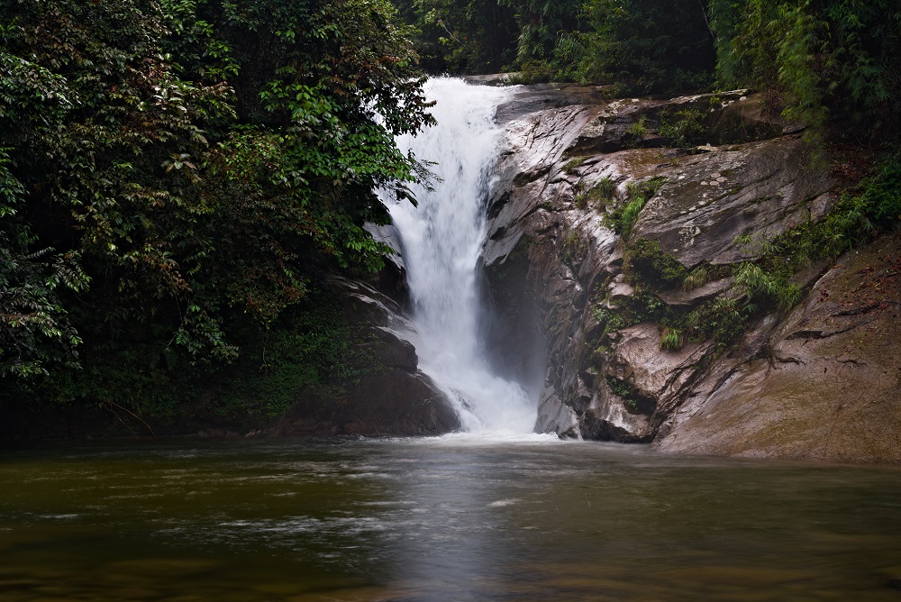 lowertrongfallweb.jpg