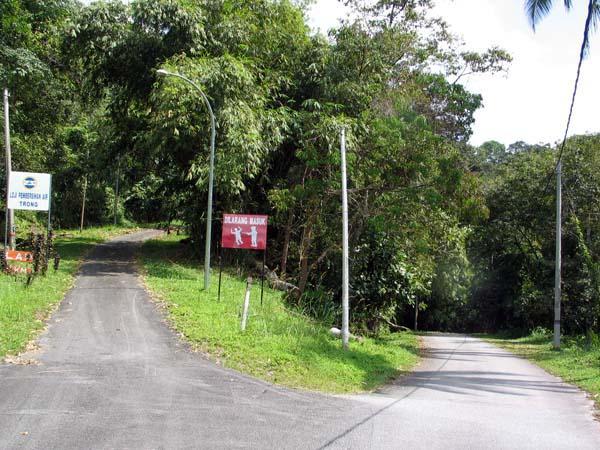 trong03.JPG