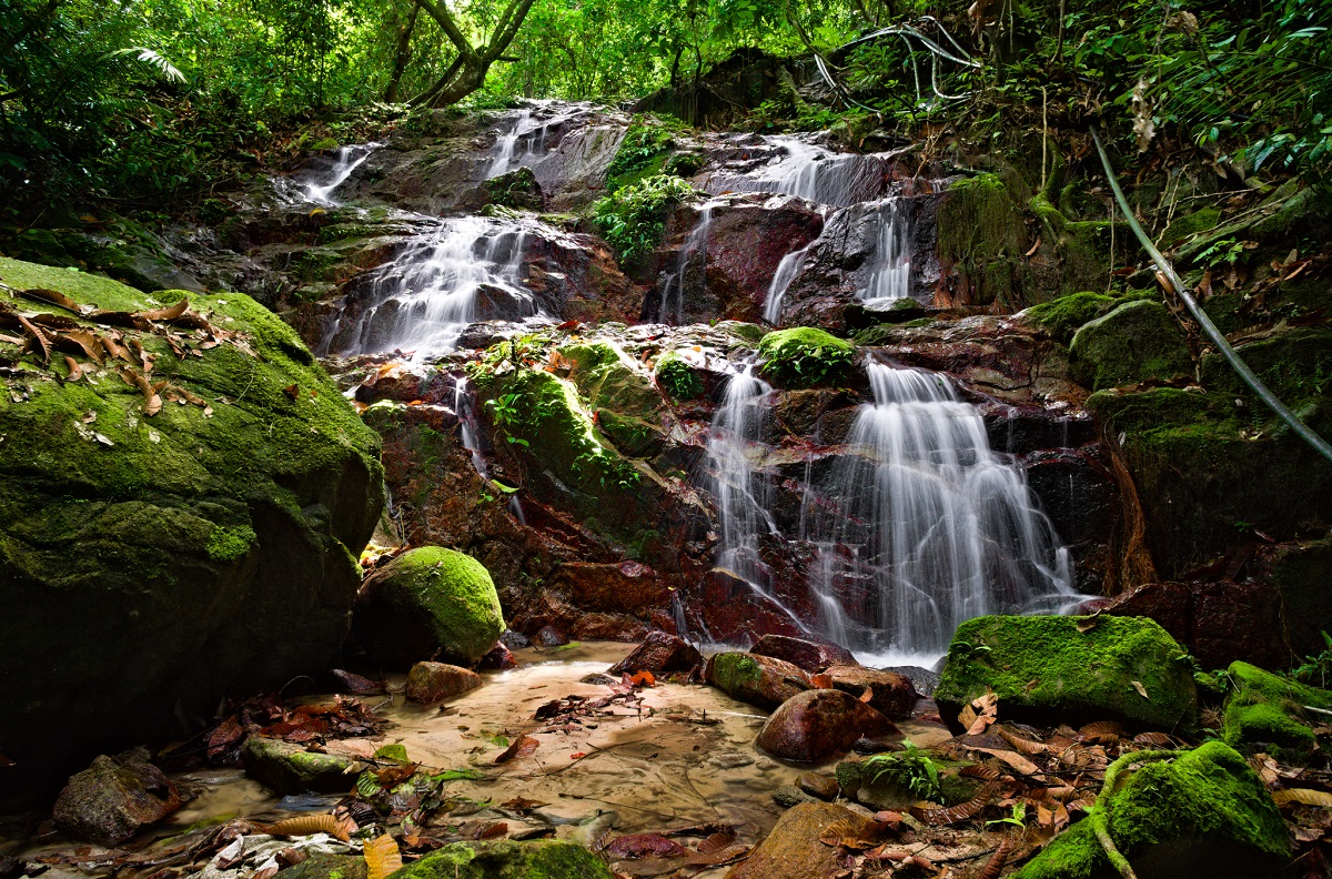 paritfalls2web.jpg